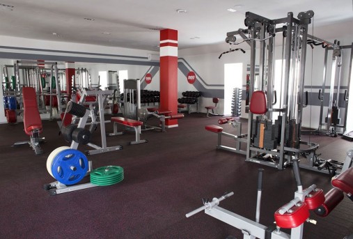 Стойка для олимпийских дисков (Ø50) Aerofit Impulse IFPTO Стойка для олимпийских дисков (Ø50) Aerofit Impulse IFPTO