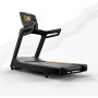 Беговая дорожка Matrix Endurance. Консоль Touch XL