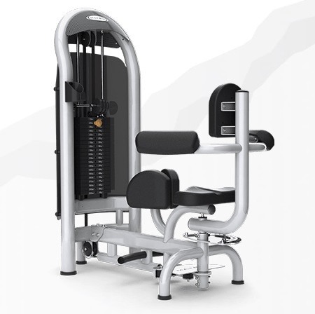 Тренажер грузоблочный Вращение торса MATRIX Aura G3-S55 Тренажер грузоблочный Вращение торса MATRIX Aura G3-S55