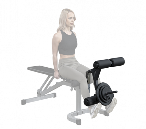 Силовая регулируемая скамья Body-Solid PFID130X с блоком для ног Силовая регулируемая скамья Body-Solid PFID130X с блоком для ног