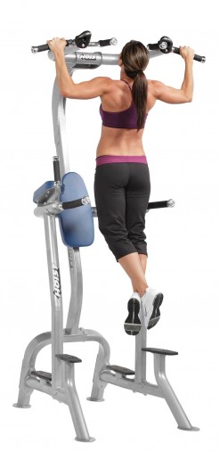 Стойка турник / брусья / поднятие колен, пресс Hoist CF-3962 Fitness Tree Стойка турник / брусья / поднятие колен, пресс Hoist CF-3962 Fitness Tree