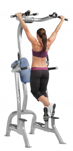 Стойка турник / брусья / поднятие колен, пресс Hoist CF-3962 Fitness Tree Стойка турник / брусья / поднятие колен, пресс Hoist CF-3962 Fitness Tree