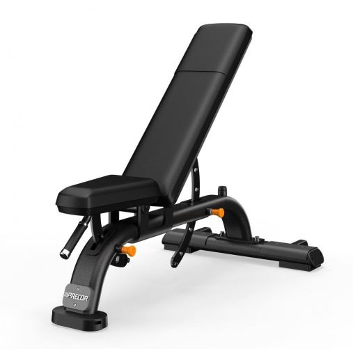 Универсальная скамья PRECOR DBR119 (рама: черный / обивка: черный) Универсальная скамья PRECOR DBR119 (рама: черный / обивка: черный)