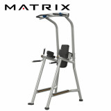 MATRIX Magnum A63C Турник пресс брусья