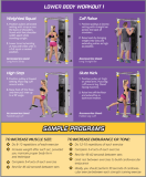 Силовой комплекс Hoist Mi6