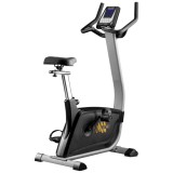 Hasttings Wega S300 Велотренажер вертикальный