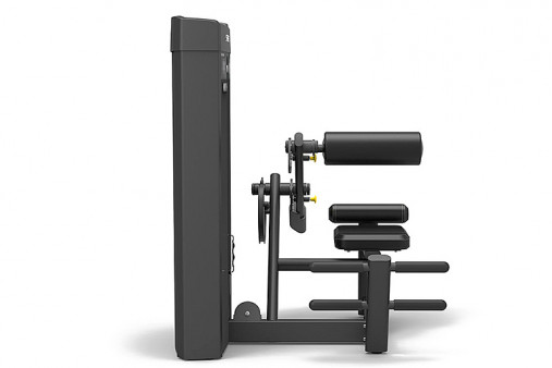 Разгибание спины Spirit SP-4310