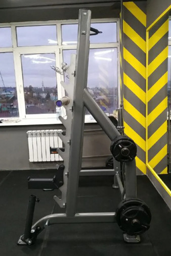 Стойка для жимов и приседов Hasttings Digger HD019-6 Стойка для жимов и приседов Hasttings Digger HD019-6