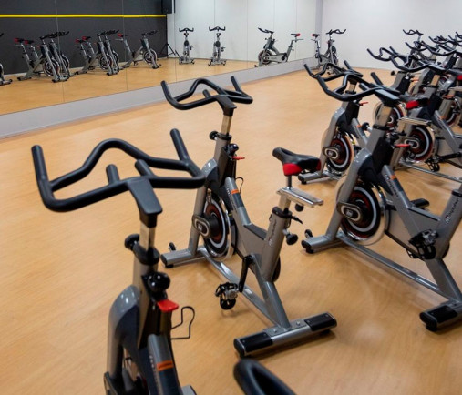 Сайкл AeroFIT Impulse PS300D Сайкл AeroFIT Impulse PS300D