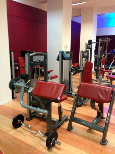 Бицепс AeroFIT Impulse Techno IT9303 Бицепс AeroFIT Impulse Techno IT9303