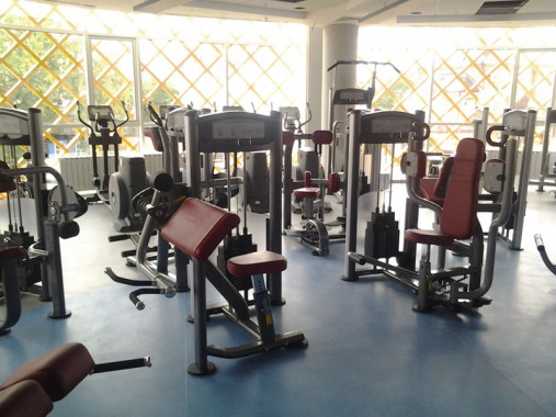 Бицепс AeroFIT Impulse Techno IT9303 Бицепс AeroFIT Impulse Techno IT9303